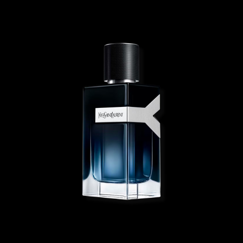 Y by YSL